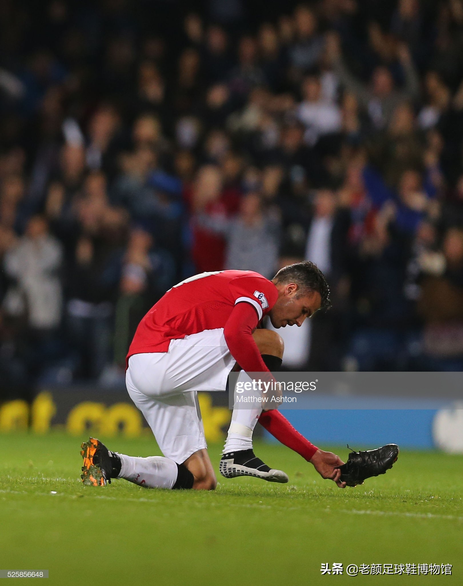 为他的职业 为他的职业