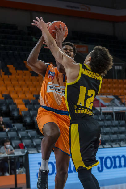 不仅展示了 不仅展示了